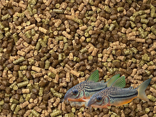 ABF CORY CATFISH MIX Bottom Feeders,Krill,Spirulina,Cory Cats,Pleco,ABF359s