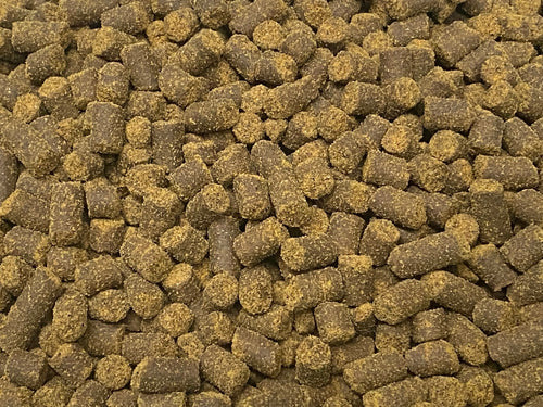 ABF LARGE AXOLOTL SOFT FOOD PELLET, 6.3mm - ABF440