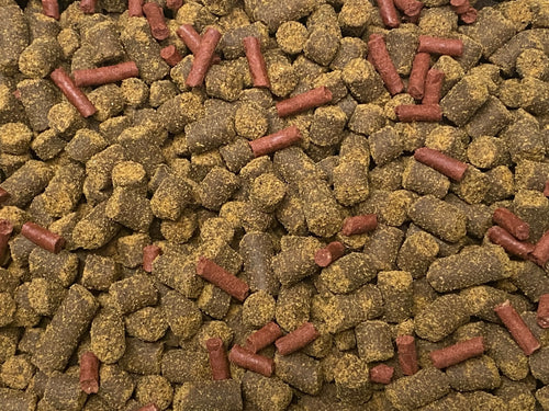 ABF LARGE AXOLOTL SOFT FOOD PELLET MIX, 6.3mm & LARGE BLOODWORM STICKS - ABF7XXL