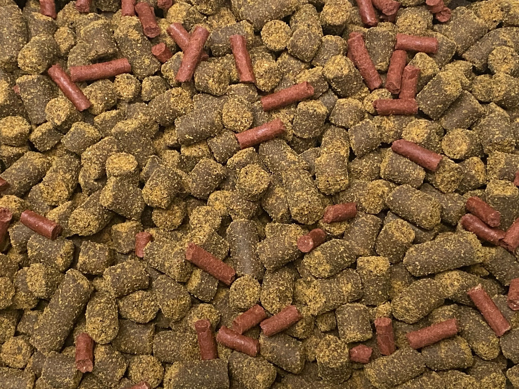 ABF LARGE AXOLOTL SOFT FOOD PELLET MIX, 6.3mm & LARGE BLOODWORM STICKS - ABF7XXL
