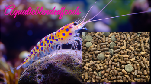 ABF ULTRA+ FRESHWATER SHRIMP FOOD MIX/With CALCIUM-MINI WAFERS, Spirulina ABF415