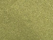 Nettle Leaf Powder Urtica Dioica Aquatic Snail & Shrimp Super Food Fish Food