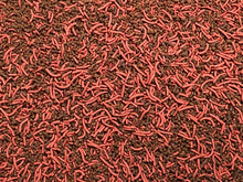 Tropical Fish Small Mix Soft Bits Color Worms Discus Angel Fish Blood Parrot 460