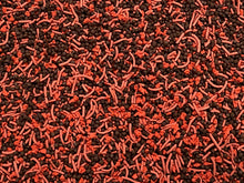 Tropical Fish Small Mix Blackworm Color Worms Discus Angel Fish Blood Parrot 461