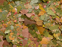 ABF GOURMET SMALL GUPPY FLAKE MIX, ABF306