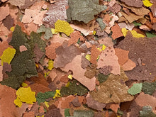 ABF Ultra Beef Heart,Krill /Spirulina Flake Food Mix for Discus,Angelfish ABF334