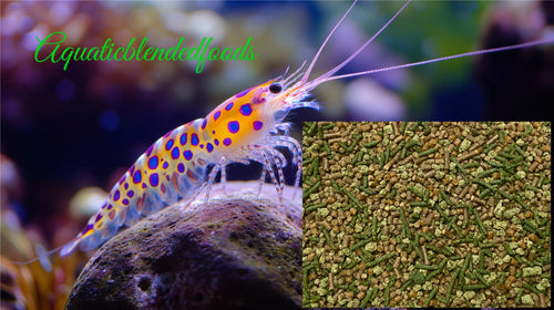 ABF ULTRA+ FRESHWATER SHRIMP FOOD MIX/With CALCIUM-MINI STICKS, Spirulina ABF416