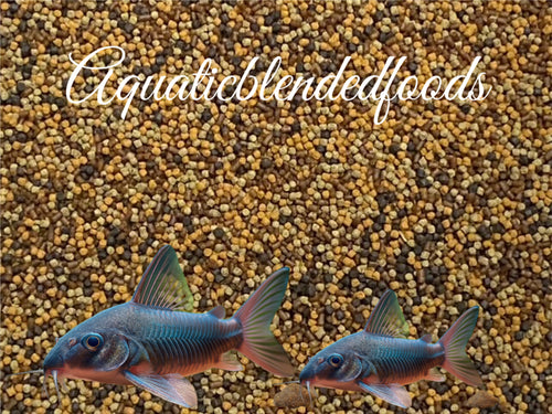 ABF Mini Cory Catfish Food Color & Grow Mix Bottom Feeders Loaches ABF433