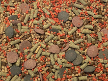 Ultra Bottom Feeder Food Mix Shrimp/Worm Wafers Catfish Pleco Loaches ABF442