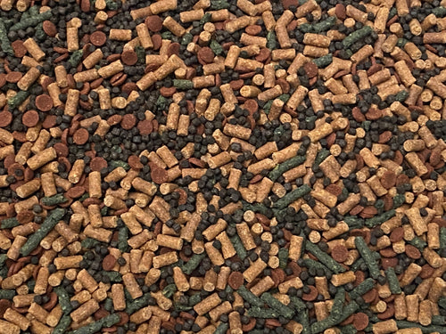 Small Bottom Feeder Food Mix Shrimp/Bug Wafers Catfish Pleco Loaches ABF446