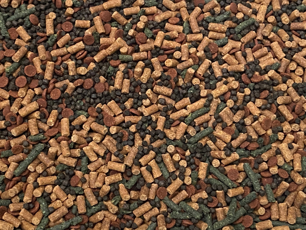 Small Bottom Feeder Food Mix Shrimp/Bug Wafers Catfish Pleco Loaches ABF446