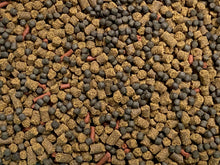 ABF GOURMET AXOLOTL SOFT FOOD PELLET MIX, 3.2mm & 4.0mm & MINI BLOODWORM STICKS - BLACKWORM PELLETS  - ABF7BW