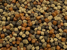 ABF GOURMET FLOATING/SINKING LARGE MIX,Cichlids,Carnivore,Bottom Feeders,ABF91D