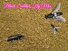 Black Soldier Fly Crumbles/.05 HP Fry Food Fish Food Mix Guppy Tetras A467