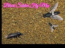 Black Soldier Fly Crumbles/1.0 Color and Grow Fish Food Mix Guppy Tetras A466