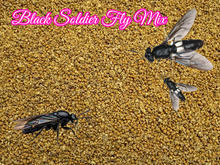 Black Soldier Fly Crumbles/1.5 Color Pellet Fish Food Mix Guppy Tetras A468