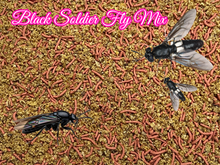 Black Soldier Fly Crumbles/Micro Color Worm Fish Food Mix Guppy Cichlids Tetras A469