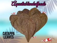 ABF Catappa Leaves Shrimp Tank Freshwater Blackwater Aquarium Isopods Betta Fish