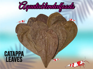 ABF Catappa Leaves Shrimp Tank Freshwater Blackwater Aquarium Isopods Betta Fish