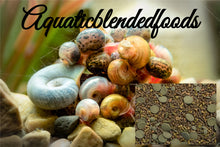 ABF AQUATIC FRESHWATER SNAIL FOOD MIX with MINI SPIRULINA WAFERS- ABF1