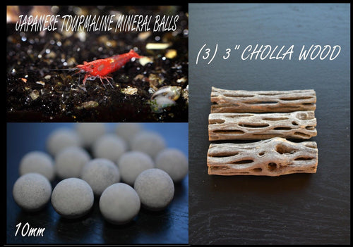 (25) Japanese Tourmaline Mineral Balls & (3) CHOLLA WOOD & (20) FREE ALDER CONES