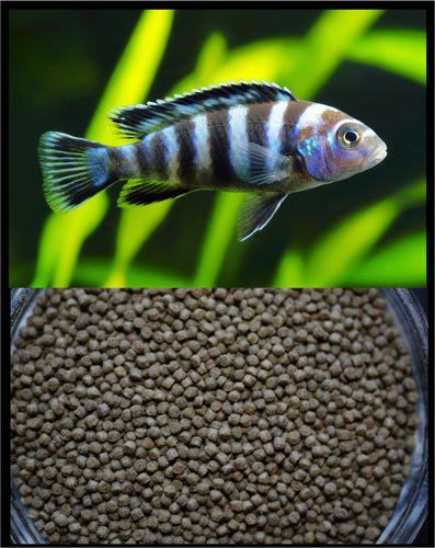 GOURMET CICHLID ULTRA VEGGIE PELLETS 2.0mm ABF185